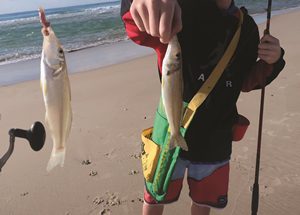 beach whiting tactics fishing