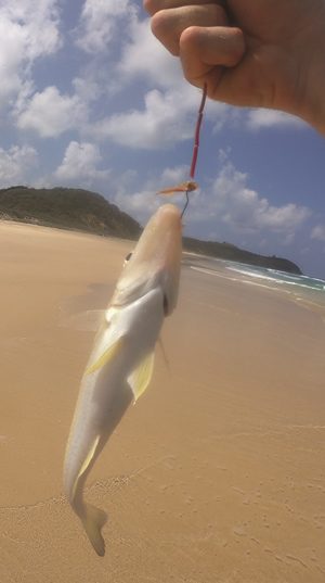 fishing beach whiting