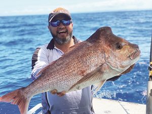 tin can bay fishing refreshed